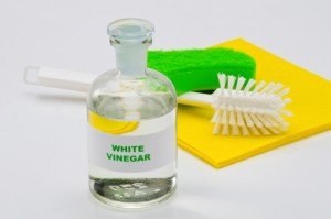 vinegar