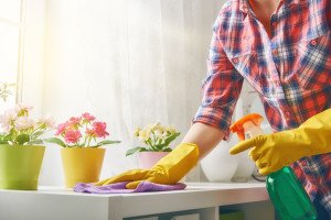 Spring Cleaning Services