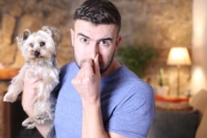 How do you keep dog odors at bay in your home? Tips for better housekeeping.